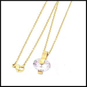 stål halsband