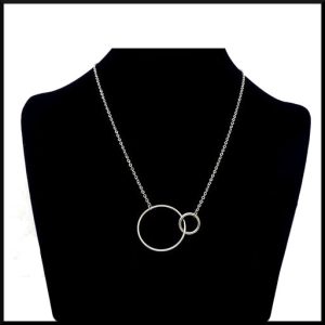 Halsband i stål