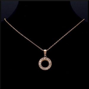 Halsband i stål
