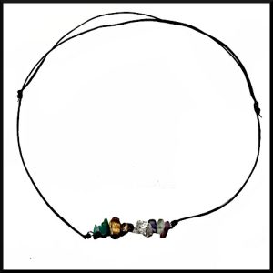 Halsband Fokus/Studier Rem