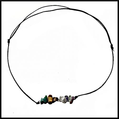 Halsband Fokus/Studier Rem