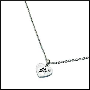 Halsband Zorro